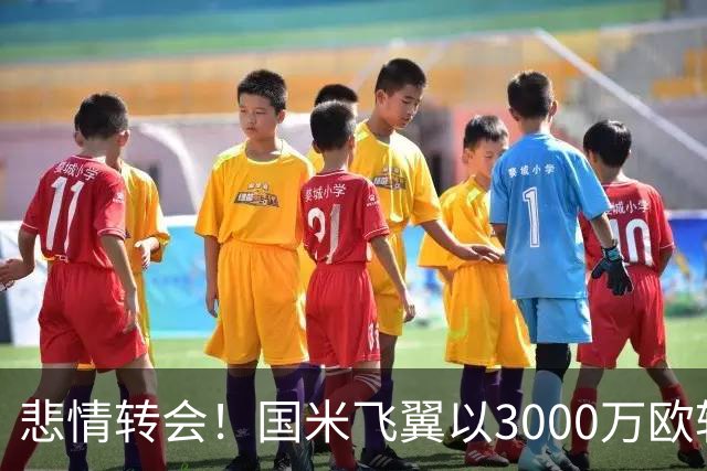 悲情转会！国米飞翼以3000万欧转至罗马，要求主帅亲告不再被重用